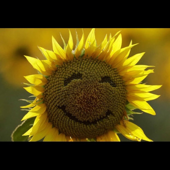 Meet your Posher, Maureen - Picture 2 of 2